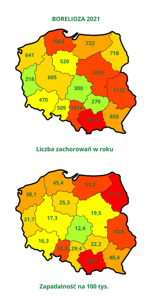 Borelioza z Lyme w Polsce 2021
