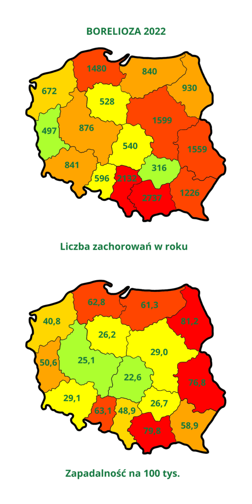 Borelioza z Lyme w Polsce 2022