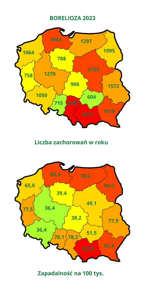 Borelioza z Lyme w Polsce 2023